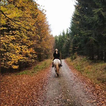 Lejlighed & Landlust Fulda *