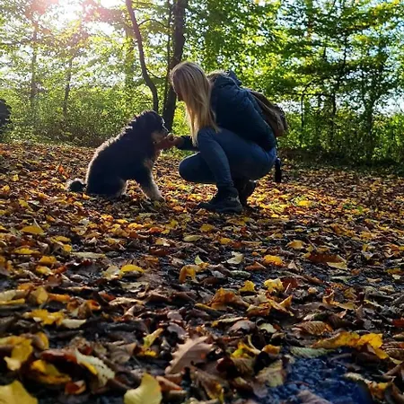 & Landlust Fulda * Petersberg (Hessen)