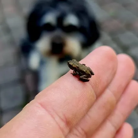 & Landlust Fulda Lejlighed *