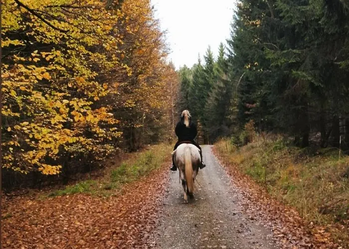 アパート & Landlust Fulda *