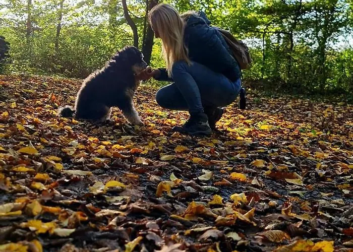 & Landlust Fulda * ペータースベルク